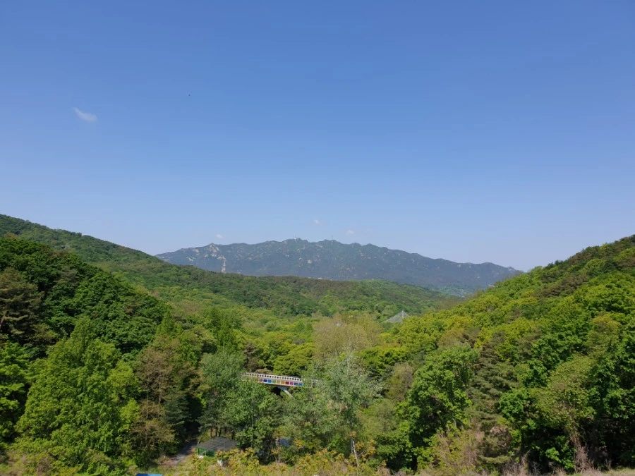 20210502%EF%BC%BF110428.jpg?type=w1