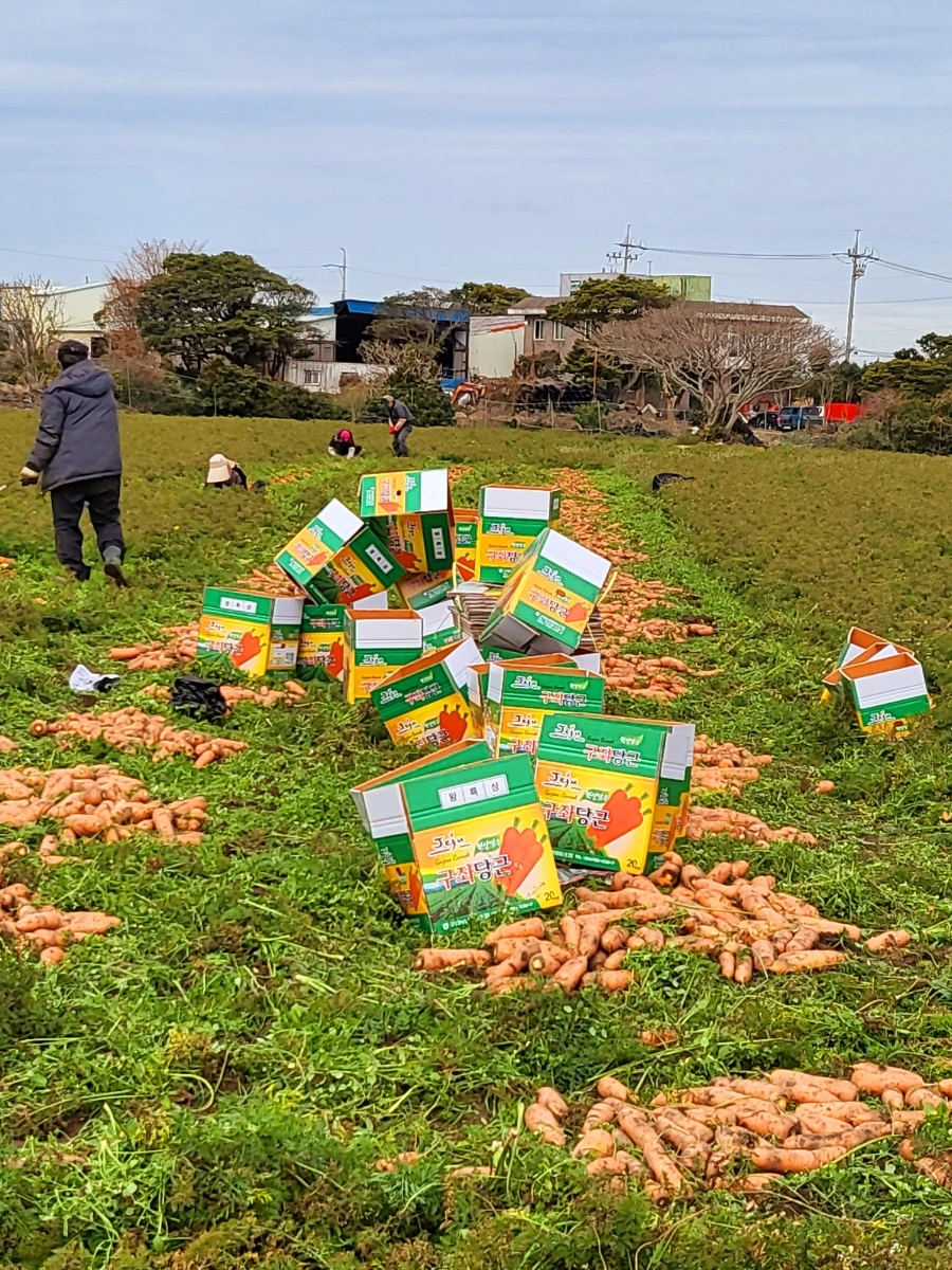 20220115%EF%BC%BF101838.jpg?type=w966