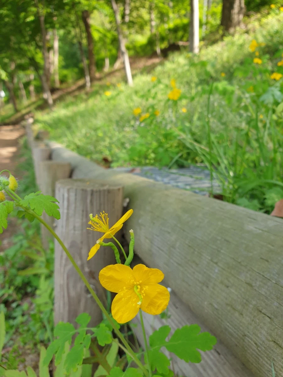 20210429%EF%BC%BF155633.jpg?type=w1