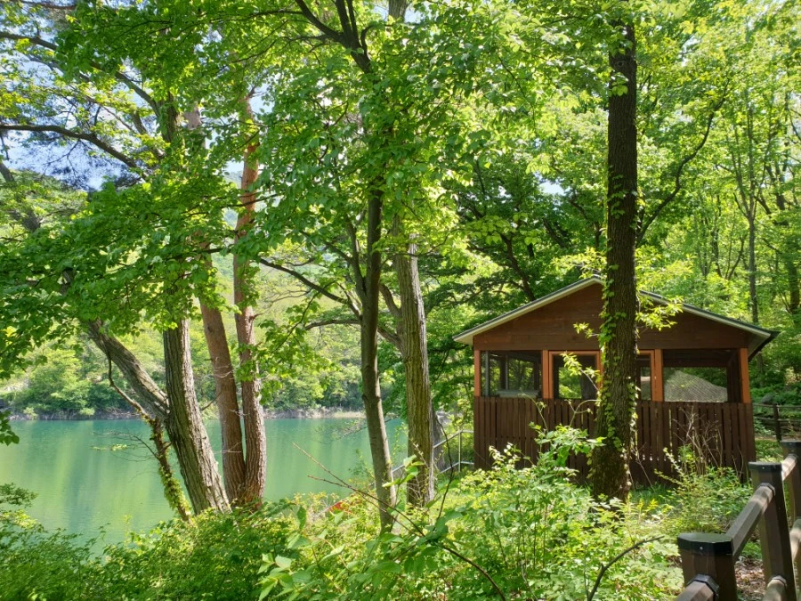 20210502%EF%BC%BF111216.jpg?type=w1