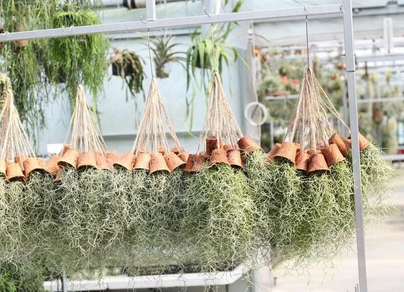 image_3673304631505206199782.jpg?type=w1200