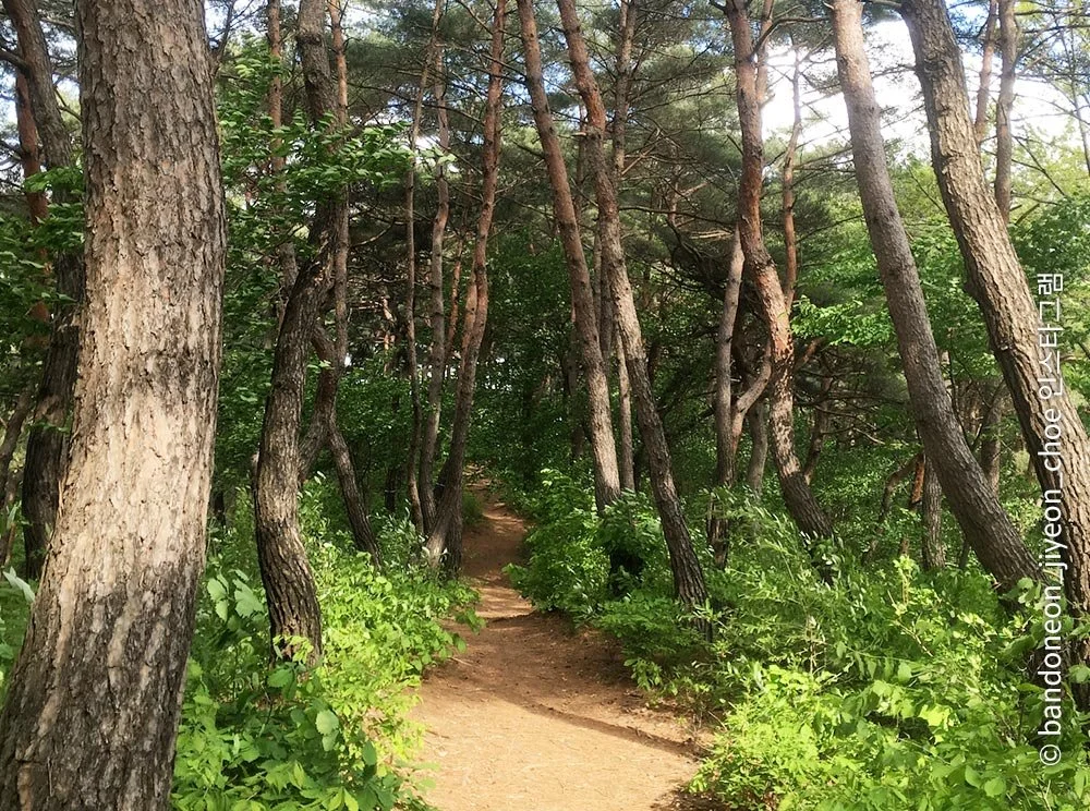 sub_02_02.jpg?type=w1200