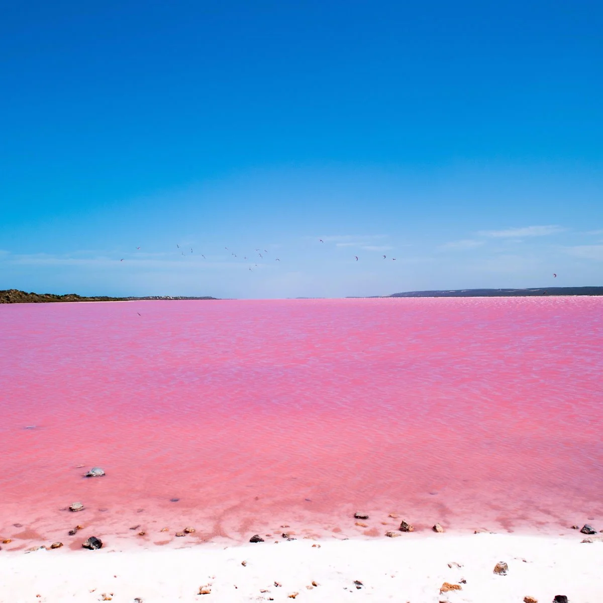 image_3627446131509611850960.jpg?type=w1200