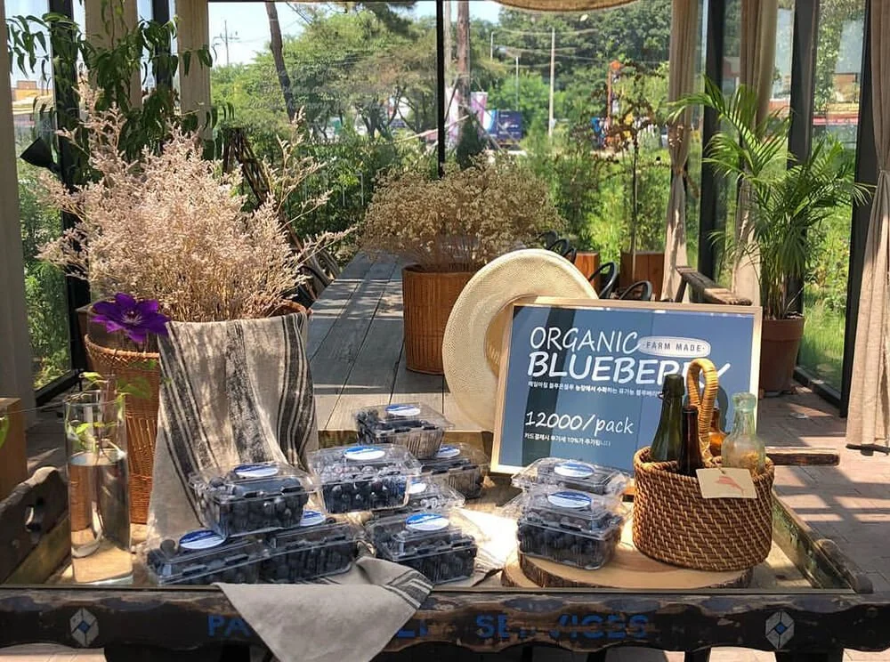 sub_04_03_instagram__cafe_blueonblue.jpg?type=w1200