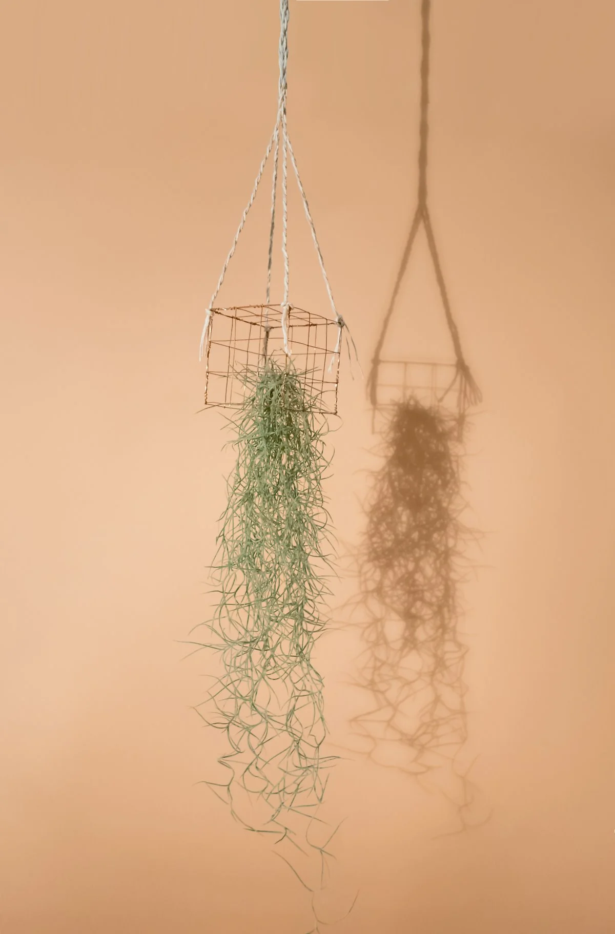 20170619-L1190925.jpg?type=w1200