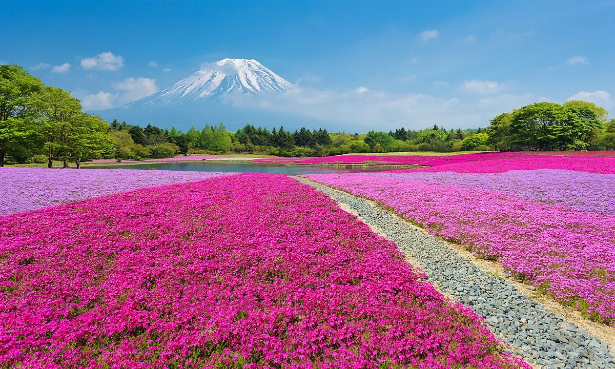 t0037_view_01_w.jpg?type=w1200