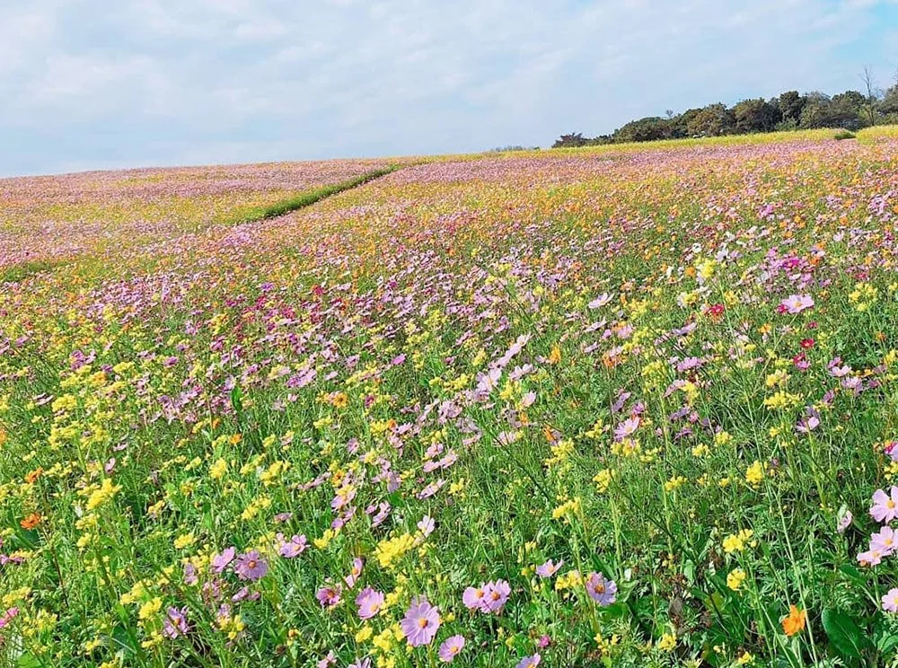 sub_02_01_instagram__nhasfarmland.jpg?type=w1200