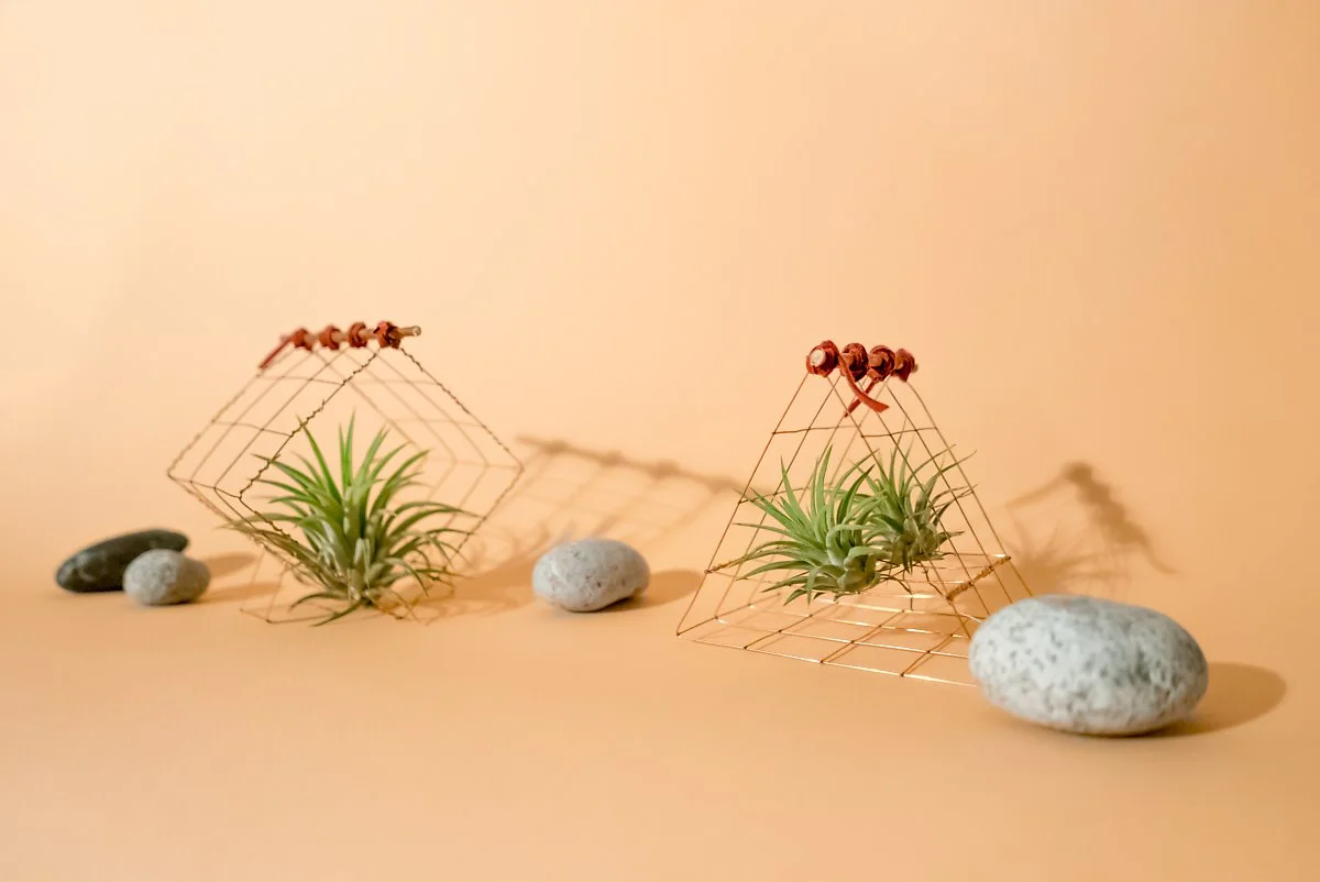 20170619-L1190742.jpg?type=w1200