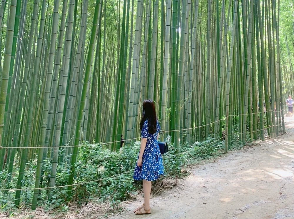 sub_05_02_akkambbo_%EB%84%A4%EC%9D%B4%EB%B2%84_%EB%B8%94%EB%A1%9C%EA%B7%B8.jpg?type=w1200