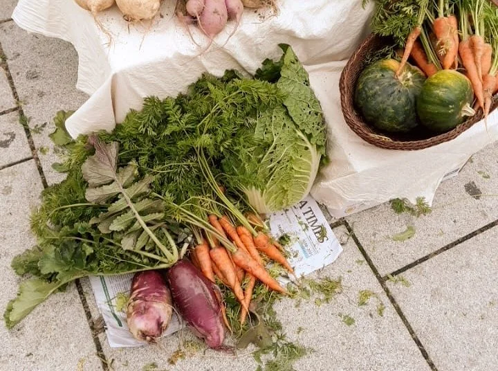 image_8699825721557998723702.jpg?type=w1200