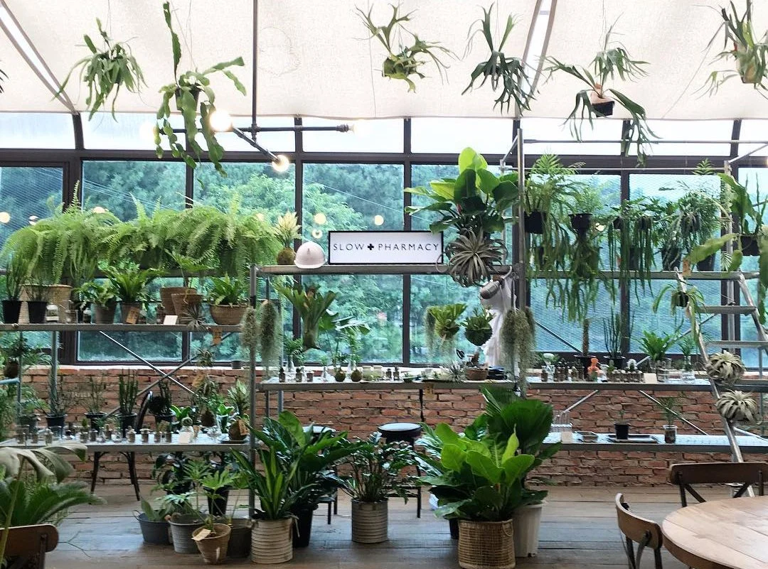 image_1760593671505206199782.jpg?type=w1200