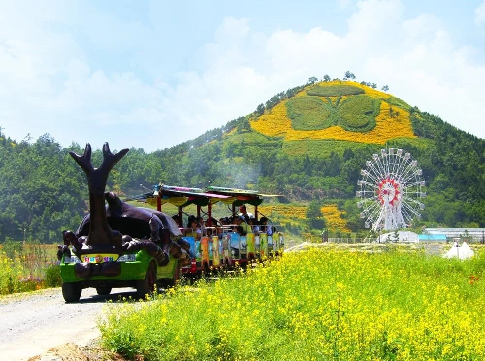 sub_01_01_%EC%A0%84%EB%9D%BC%EB%82%A8%EB%8F%84_%EA%B3%B5%EC%8B%9D_%EB%B8%94%EB%A1%9C%EA%B7%B8.jpg?type=w1200