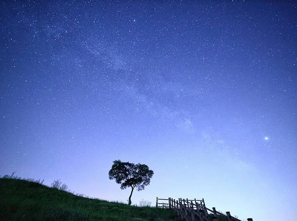 sub_02_01_instagram__mcoop2r.jpg?type=w1200