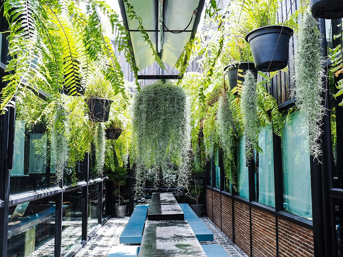 shutterstock_646191511.jpg?type=w1200