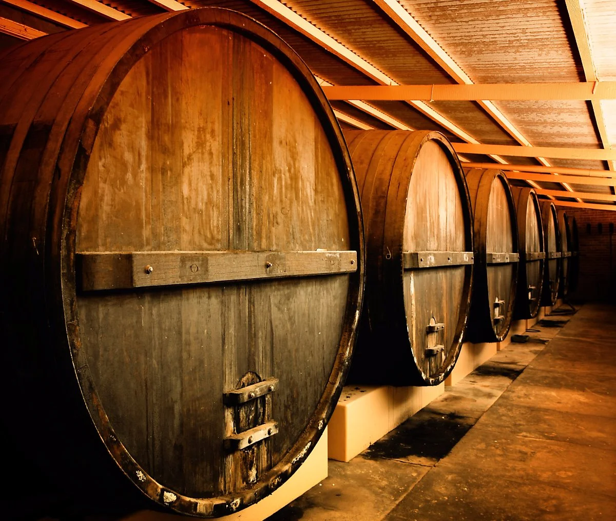 image_6235073301509611129747.jpg?type=w1200