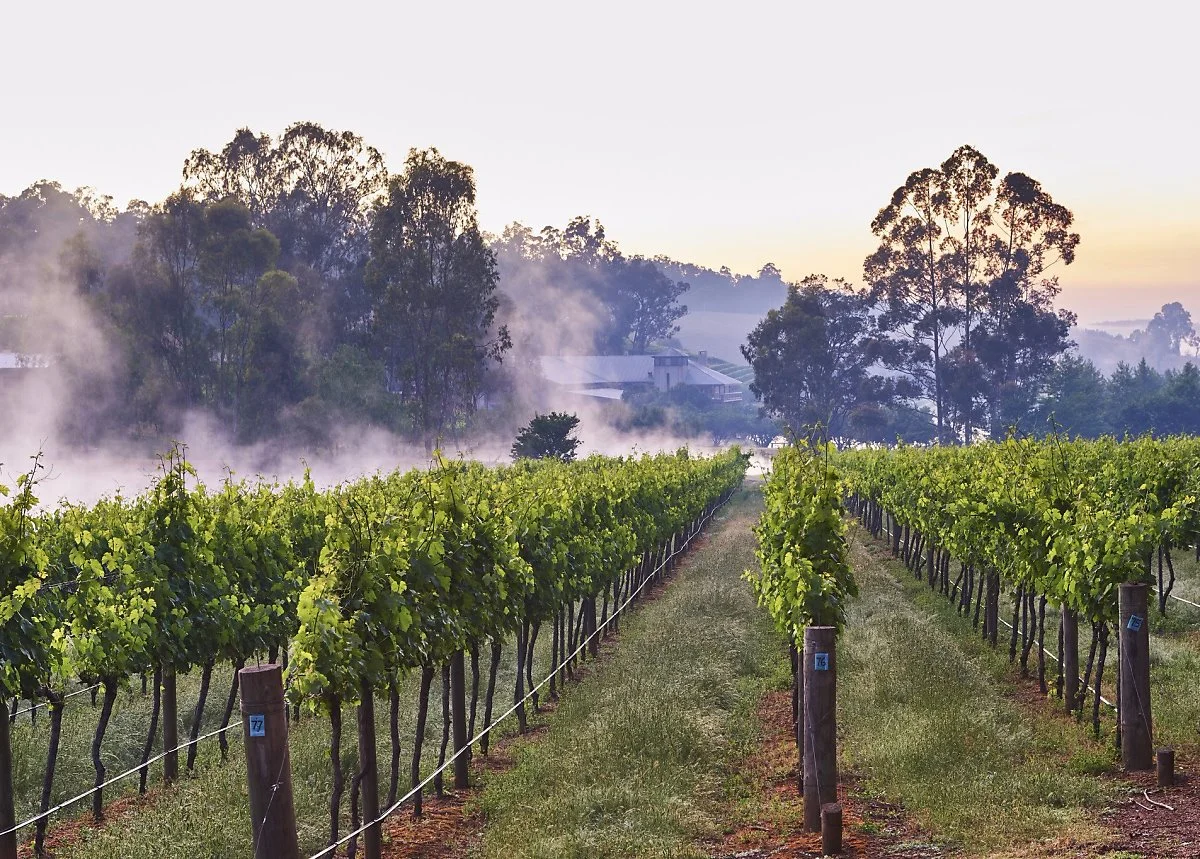 image_2177820096767264.jpg?type=w1200