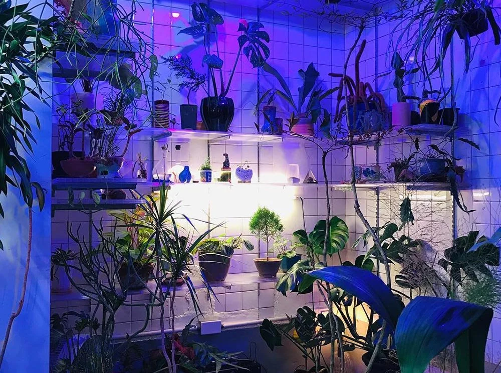 sub_02_01_instagram__padosikmul.jpg?type=w1200