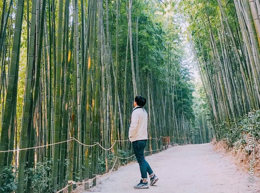 sub_05_02.jpg?type=w1200