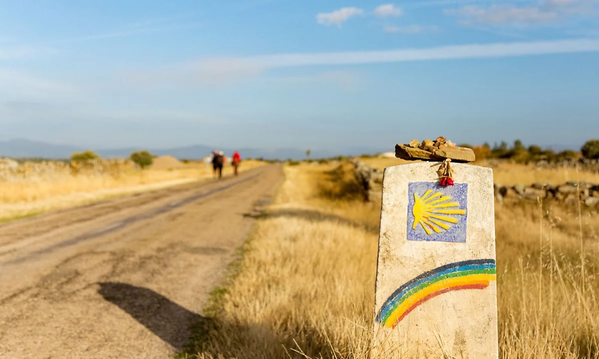 t0044_view_01_w.jpg?type=w1200&type=w1200