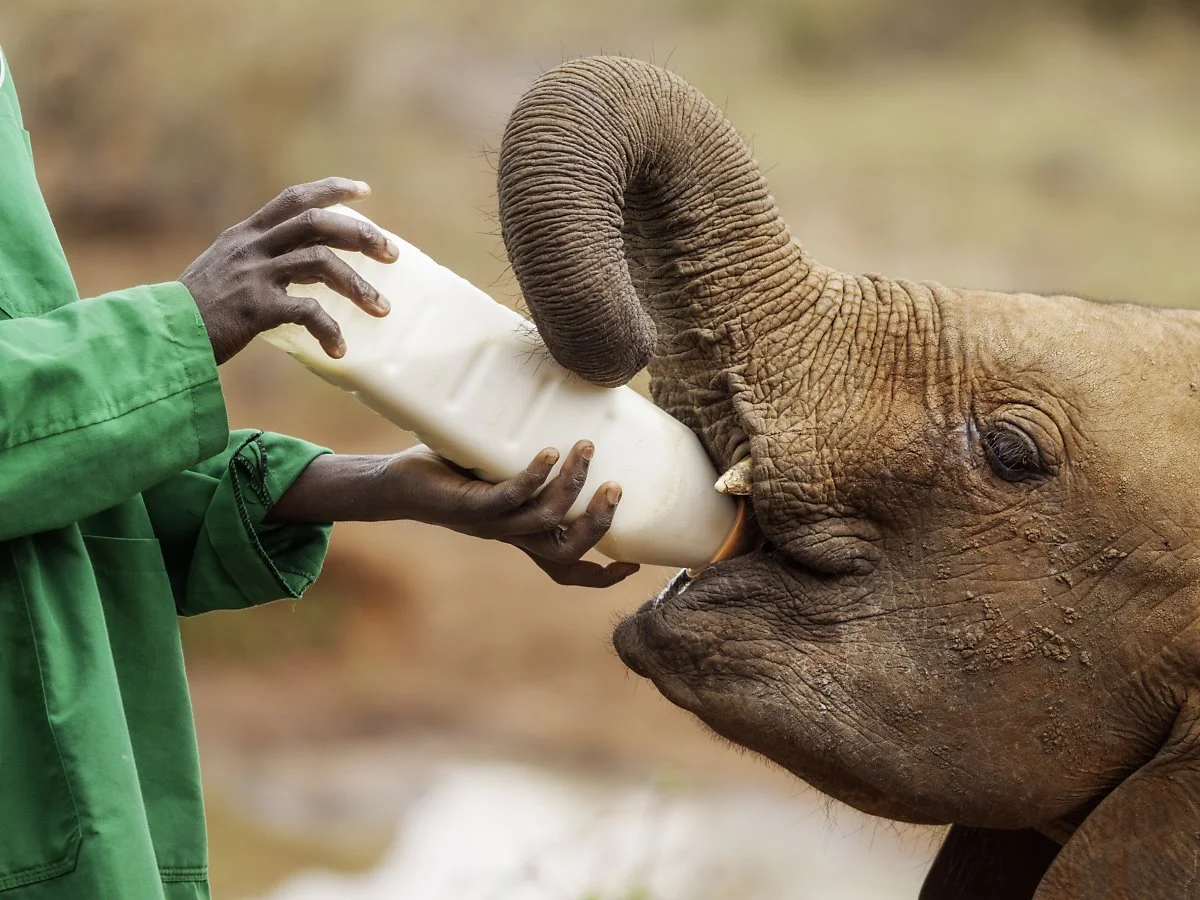 02_iStock-528198369.jpg?type=w1200