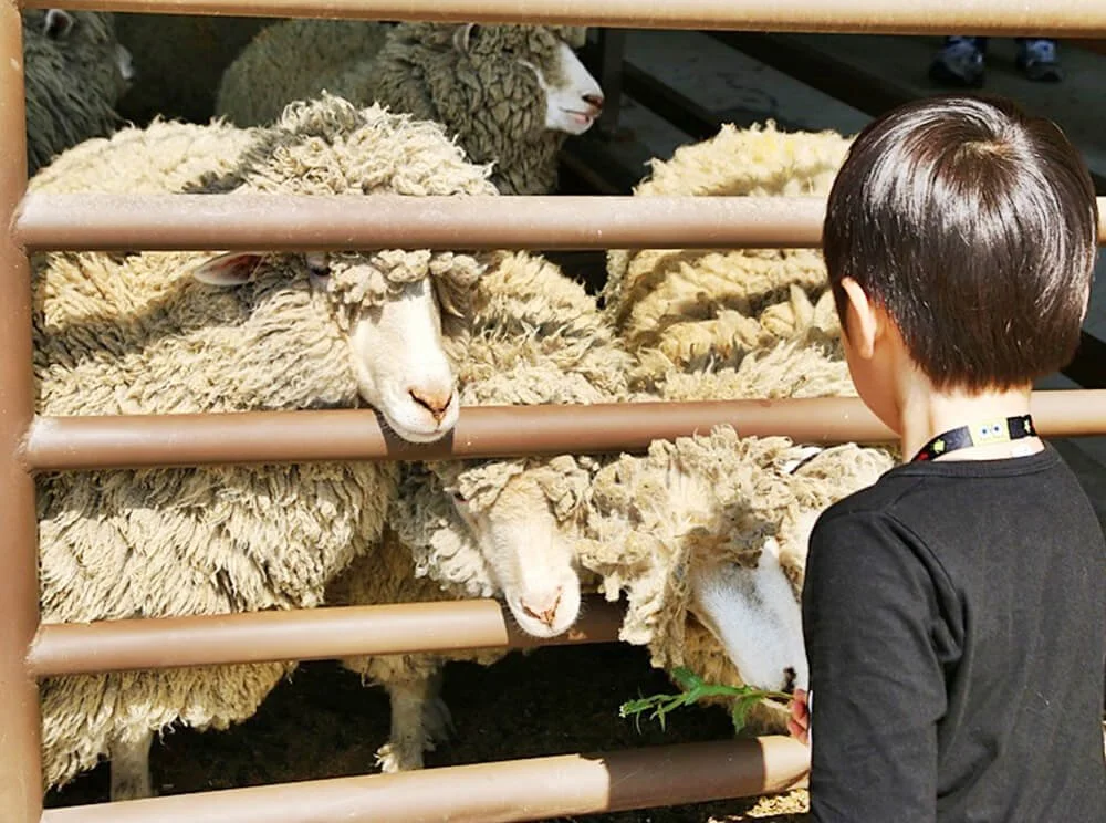 sub_01_04_%EC%95%88%EC%84%B1%EC%8B%9C%EC%B2%AD_%EA%B3%B5%EC%8B%9D_%EB%B8%94%EB%A1%9C%EA%B7%B8_%EC%9D%B4%EB%AF%BC%EC%88%99.jpg?type=w1200