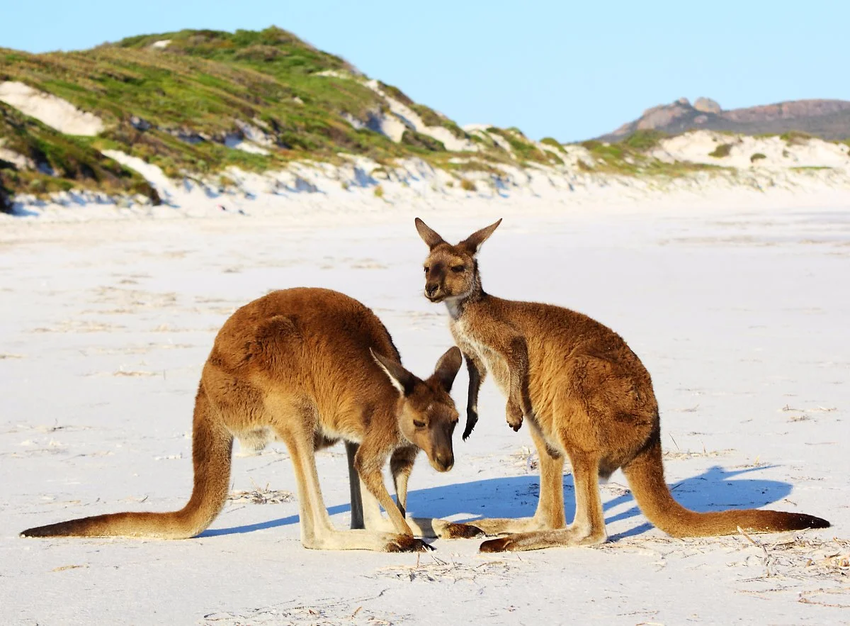 image_1404642161704261.jpg?type=w1200