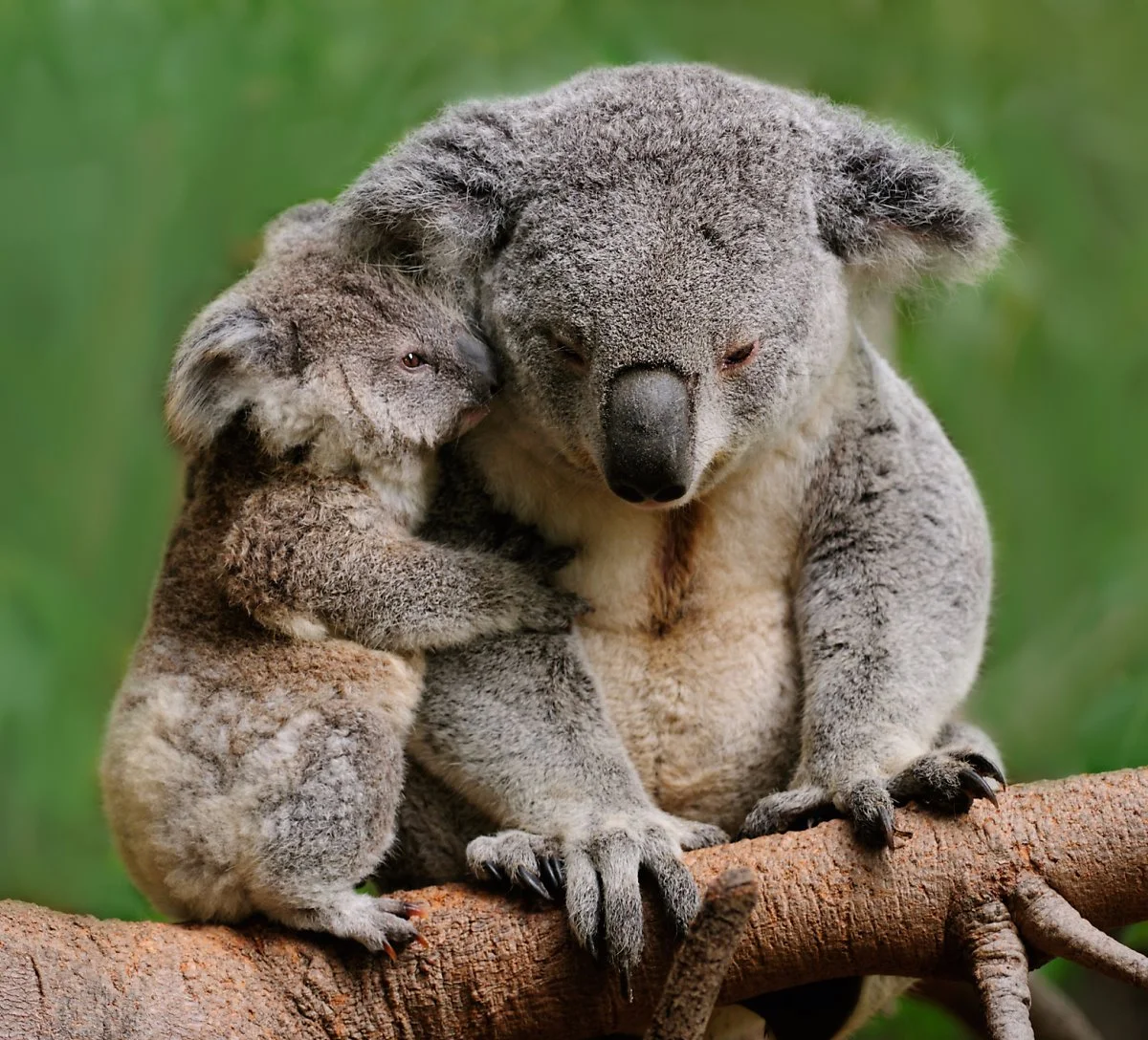 image_9703735031509610545684.jpg?type=w1200