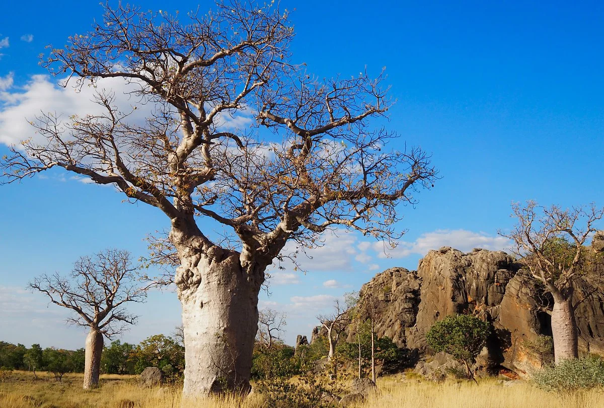 image_7010244101509610390920.jpg?type=w1200