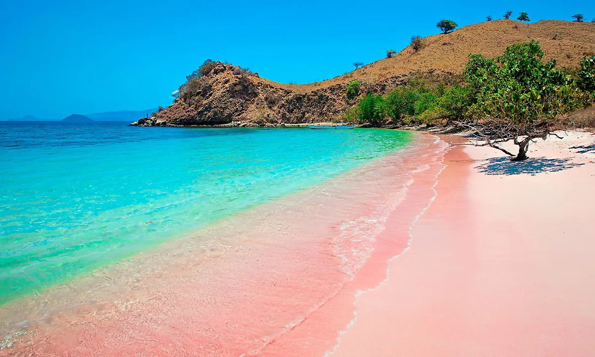 t0037_view_05_w.jpg?type=w1200