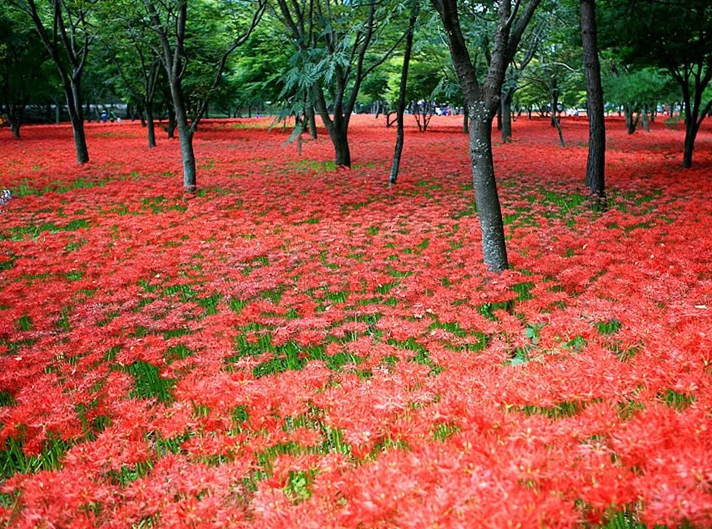 sub_03_01_%EC%A0%84%EB%9D%BC%EB%82%A8%EB%8F%84_%EA%B3%B5%EC%8B%9D_%EB%B8%94%EB%A1%9C%EA%B7%B8.jpg?type=w1200