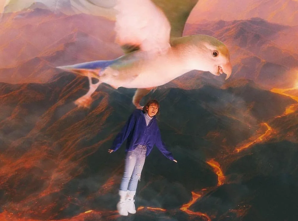 sub_01_02--Instagram_nowijooy-%EC%9D%B8%EC%8A%A4%ED%83%80%EA%B7%B8%EB%9E%A8.jpg?type=w1200