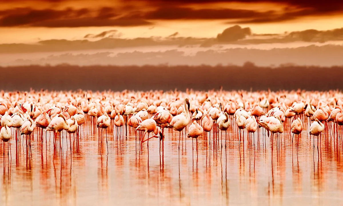 t0037_view_03_w.jpg?type=w1200