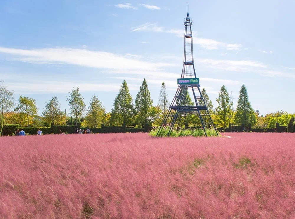 sub_01_01_%EC%9D%B8%EC%B2%9C%EA%B4%91%EC%97%AD%EC%8B%9C_%EA%B3%B5%EC%8B%9D_%EB%B8%94%EB%A1%9C%EA%B7%B8_%EC%9E%84%EC%A4%91%EB%B9%88.jpg?type=w1200