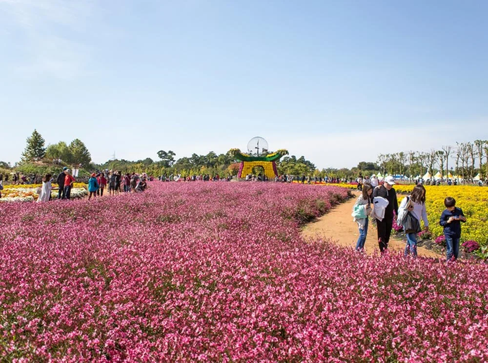 sub_01_02_%EC%9D%B8%EC%B2%9C%EA%B4%91%EC%97%AD%EC%8B%9C_%EA%B3%B5%EC%8B%9D_%EB%B8%94%EB%A1%9C%EA%B7%B8_%EC%9E%84%EC%A4%91%EB%B9%88.jpg?type=w1200