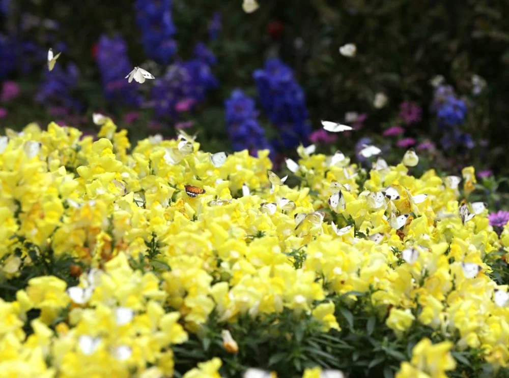 sub_01_02_%EC%A0%84%EB%9D%BC%EB%82%A8%EB%8F%84_%EA%B3%B5%EC%8B%9D_%EB%B8%94%EB%A1%9C%EA%B7%B8.jpg?type=w1200