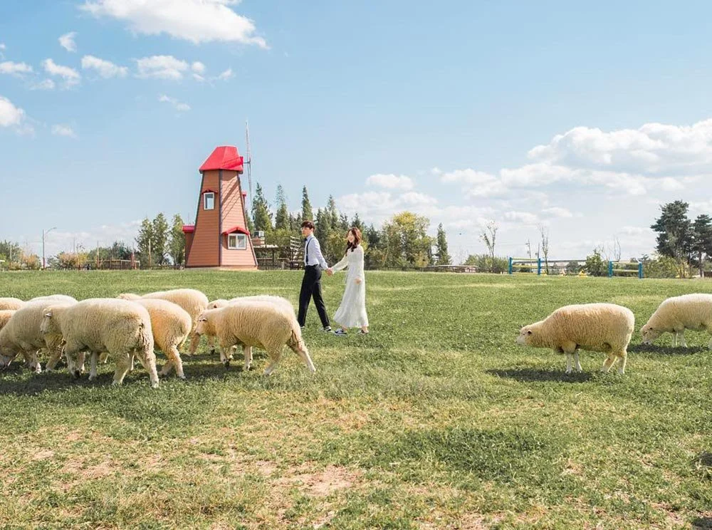 sub_02_02_instagram__nhasfarmland.jpg?type=w1200