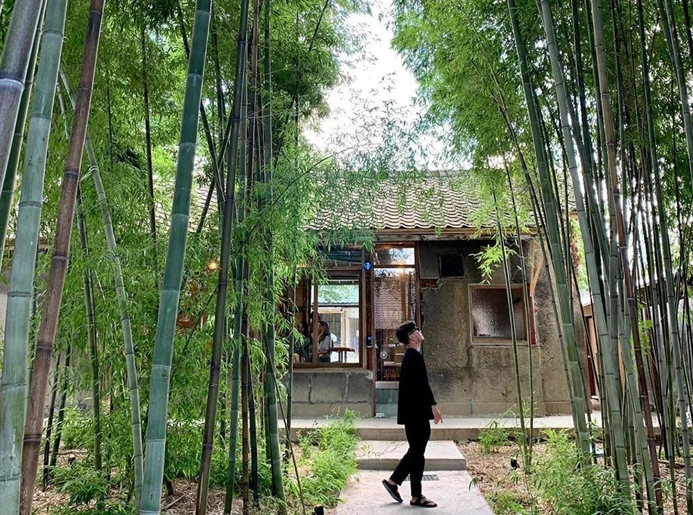 sub_02_01_instagram__yangjowii.jpg?type=w1200