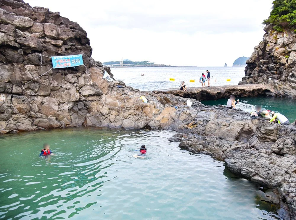 sub_04_04_%EC%A0%9C%EC%A3%BC%EC%84%B8%EA%B3%84%EC%9E%90%EC%97%B0%EC%9C%A0%EC%82%B0%EC%84%BC%ED%84%B0_%EA%B3%B5%EC%8B%9D_%EB%B8%94%EB%A1%9C%EA%B7%B8_%EB%B0%A9%EC%9E%AC%ED%98%B8.jpg?type=w1200