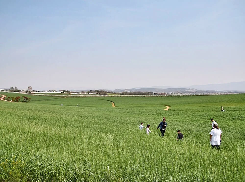 sub_01_01_%EC%95%88%EC%84%B1%EC%8B%9C%EC%B2%AD_%EA%B3%B5%EC%8B%9D_%EB%B8%94%EB%A1%9C%EA%B7%B8_%EC%9D%B4%EB%AF%BC%EC%88%99.jpg?type=w1200