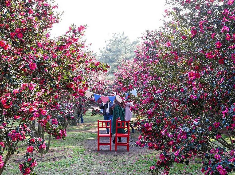 sub_10_03.jpg?type=w1200