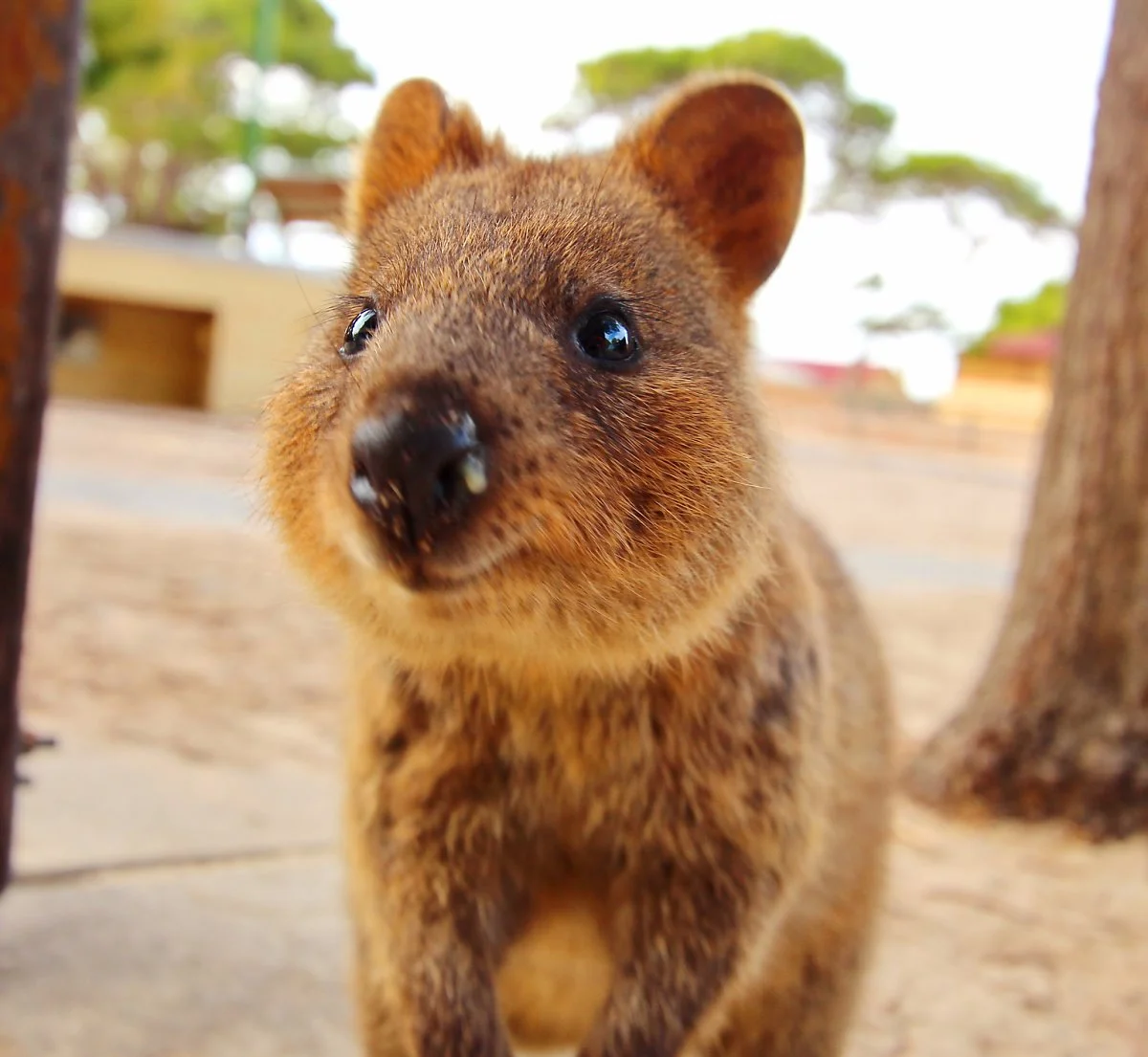 image_7898952637556393.jpg?type=w1200