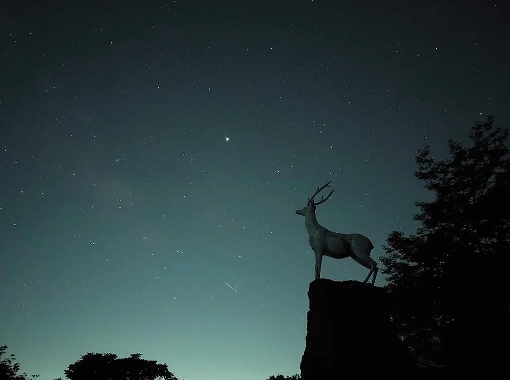 sub_05_01_wo__ok__%EB%84%A4%EC%9D%B4%EB%B2%84_%EB%B8%94%EB%A1%9C%EA%B7%B8.jpg?type=w1200