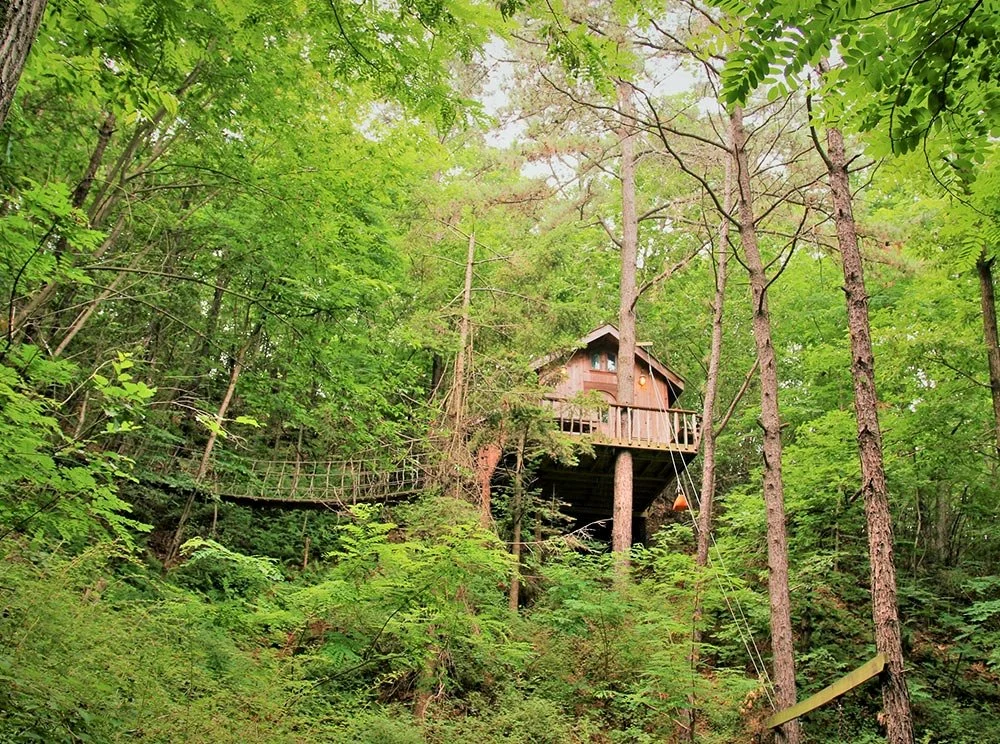 sub_02_02_%EB%82%98%EB%AC%B4%EC%9C%84%EC%9D%98%EC%A7%91_%EA%B3%B5%EC%8B%9D_%ED%99%88%ED%8E%98%EC%9D%B4%EC%A7%80.jpg?type=w1200