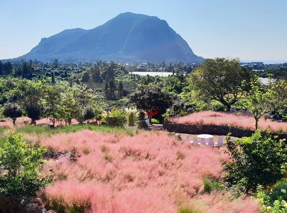 sub_05_01_%EB%A7%88%EB%85%B8%EB%A5%B4%EB%B8%94%EB%9E%91_%EA%B3%B5%EC%8B%9D_%ED%99%88%ED%8E%98%EC%9D%B4%EC%A7%80.jpg?type=w1200