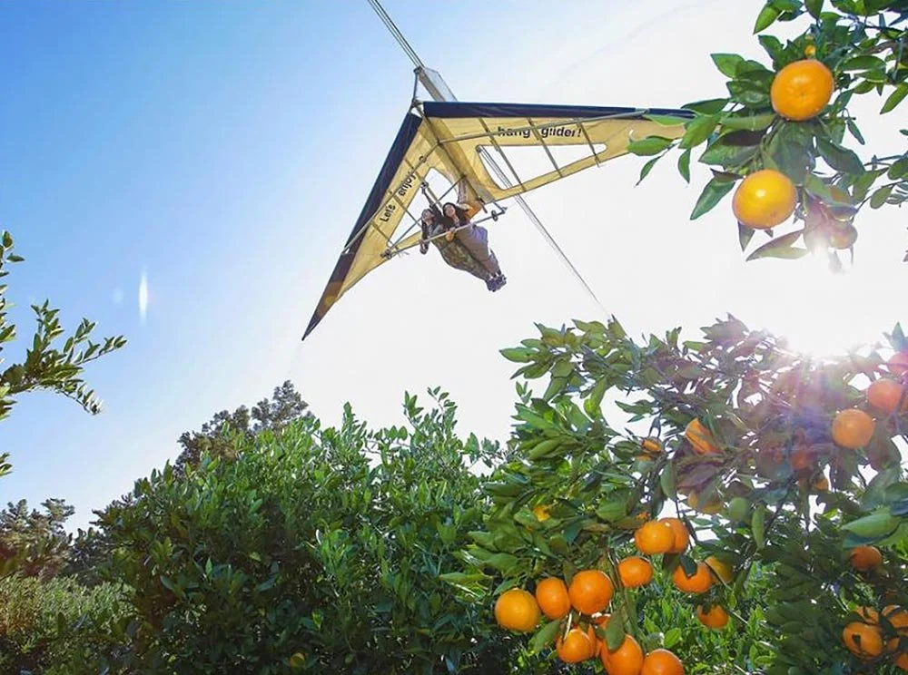 sub_05_03_%EB%84%A4%EC%9D%B4%EB%B2%84_%ED%94%8C%EB%A0%88%EC%9D%B4%EC%8A%A4.jpg?type=w1200