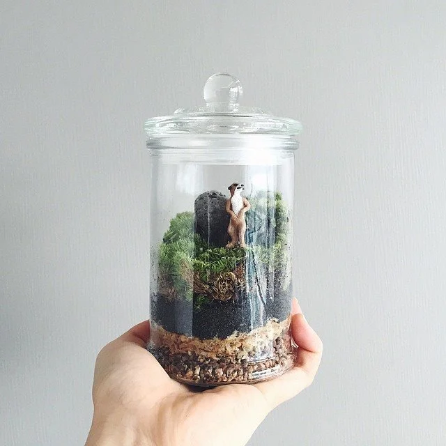 11142232_347444868778281_366650675_n.jpg?type=w1200