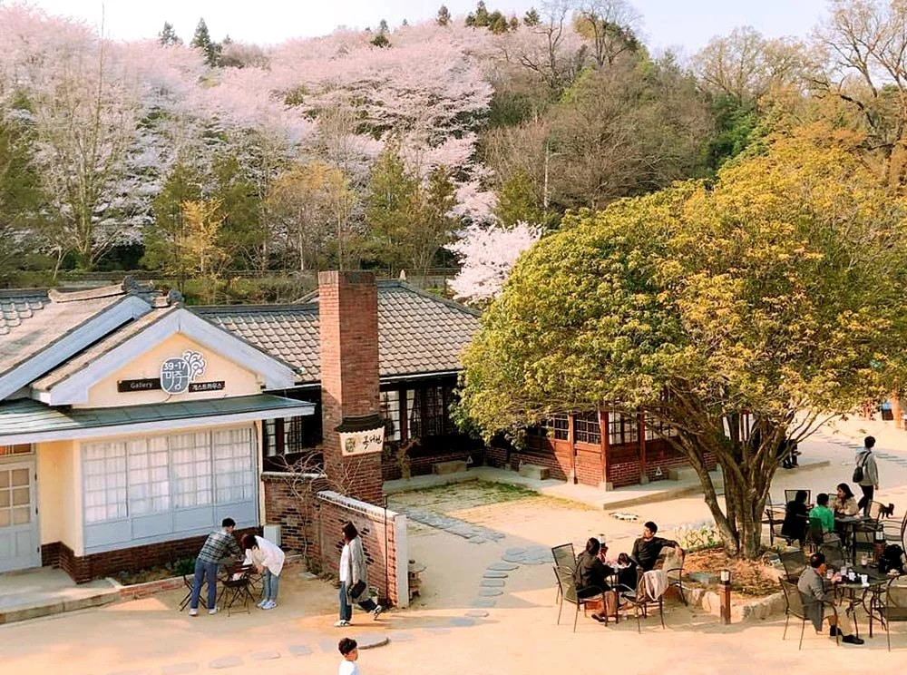 sub_04_01_instagram__3917majung6838.jpg?type=w1200