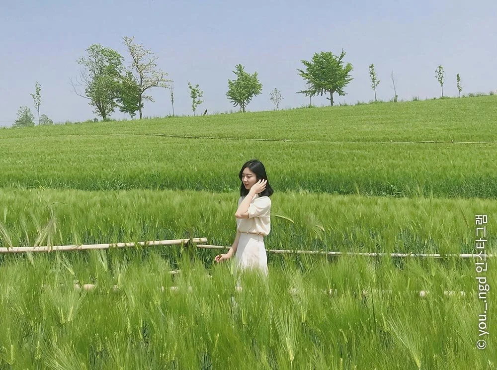 sub_01_02.jpg?type=w1200