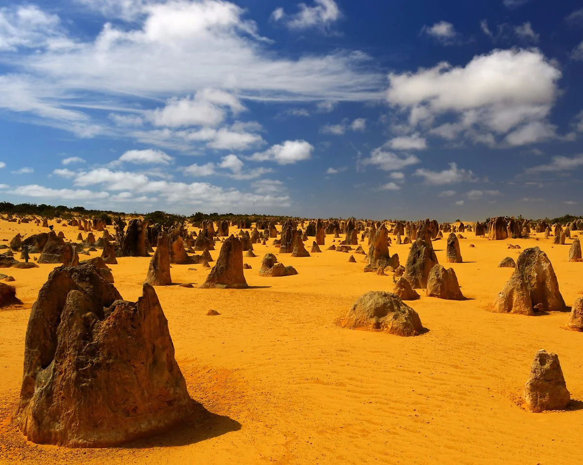 image_290900068625126.jpg?type=w1200