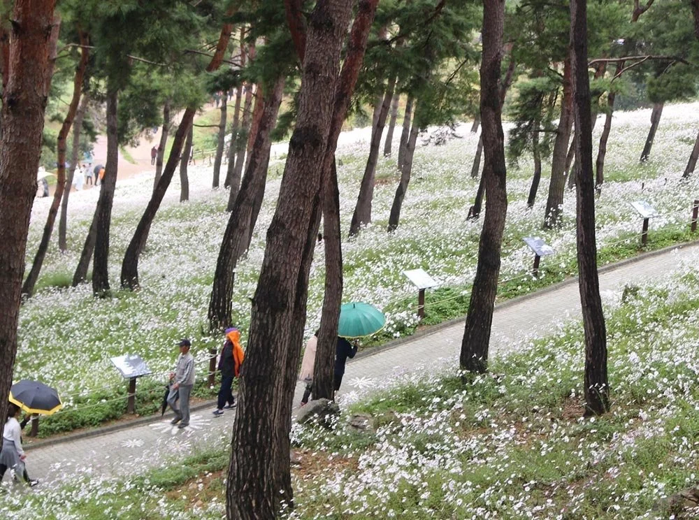 sub_04_03_%EC%A0%84%EB%9D%BC%EB%B6%81%EB%8F%84_%EA%B3%B5%EC%8B%9D_%EB%B8%94%EB%A1%9C%EA%B7%B8_%EC%9D%B4%EC%9E%84%EC%88%9C.jpg?type=w1200